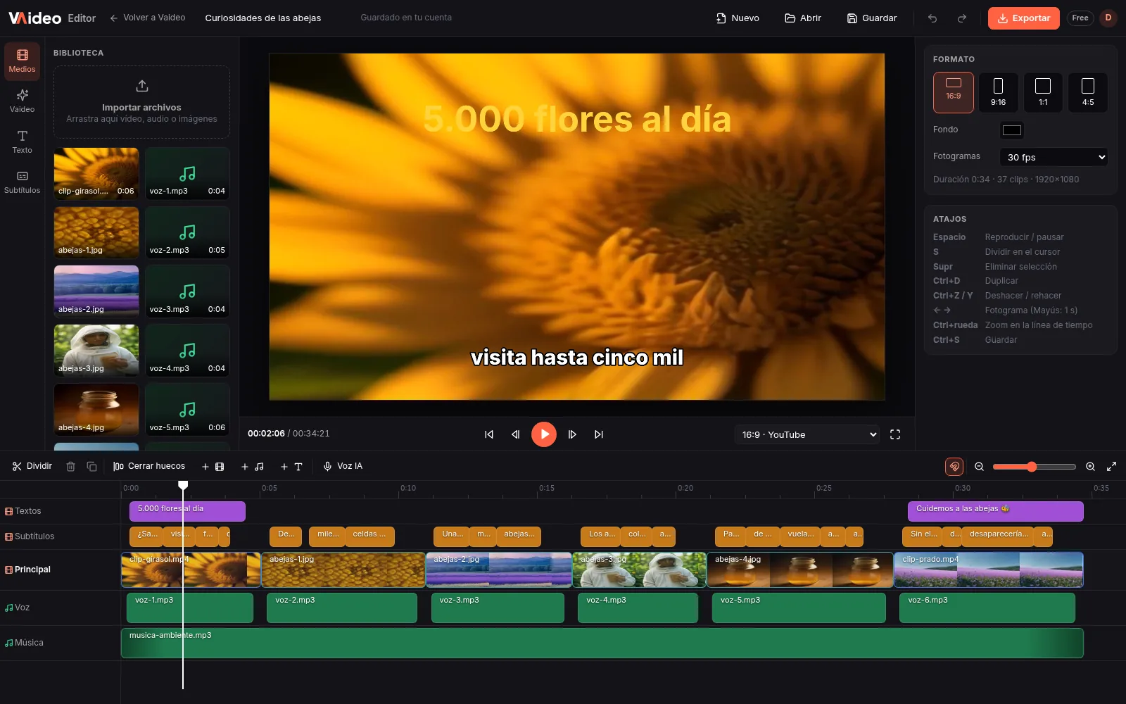 Vaideo Editor in the browser: media library, viewer, 16:9, 9:16, 1:1 and 4:5 formats and a multi-track timeline