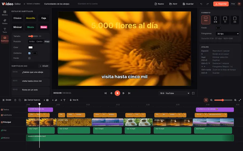 Captions panel with preset styles and the list of lines with their timing
