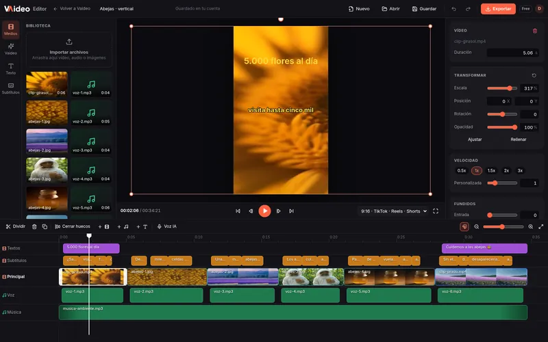 Landscape clip scaled to 317% to fill the vertical canvas, with the transform and speed panel