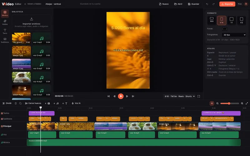 Vaideo Editor with a vertical 9:16 project open: portrait viewer with title and caption, and a timeline with text, caption, video, voice and music tracks